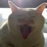 iseeyu